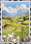 Postkarte. Auguri by Barbara Behr / Grüße aus den Bergen (Schafe // quer