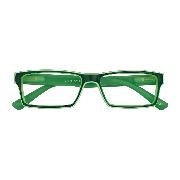 Brille. CAPRI G53200, grün, +1.00 dpt, Kunststoffbrille mit Federscharnier, Softetui