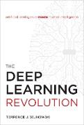 The Deep Learning Revolution